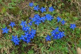 050